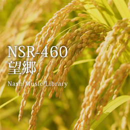 NSR-460 Hometown Longing  