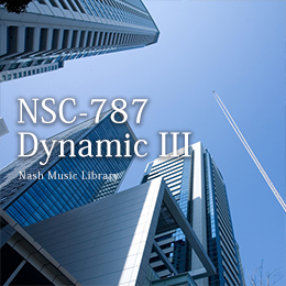 NSC-787 Dynamic3