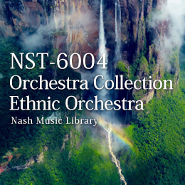 NST-6004 Ethnic Orchestra 