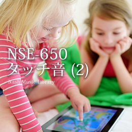 NSE-650 Touch Sounds (2)