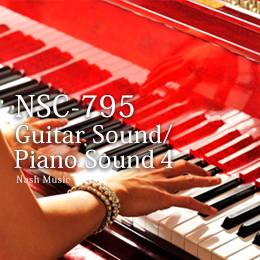 NSC-795 Guitar Sound/Piano Sound