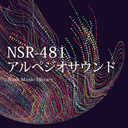 NSR-481 Arpeggio Sound