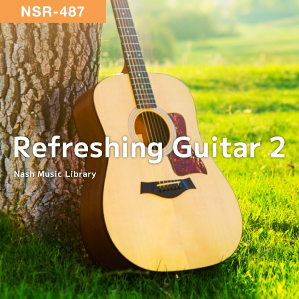 NSR-487 Refreshing Guitar 2