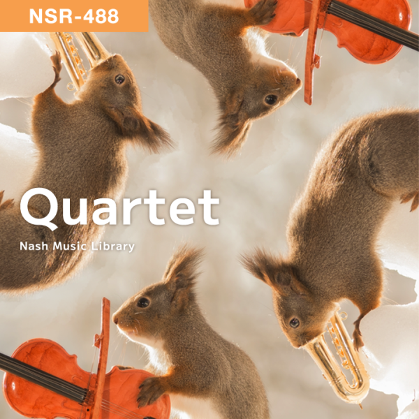 NSR-488 Quartet