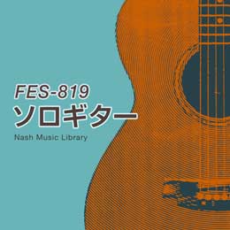 FES-819 Solo Guitar