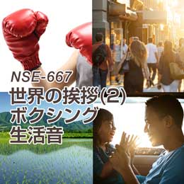 NSE-667 World Greetings (2) / Boxing / Living