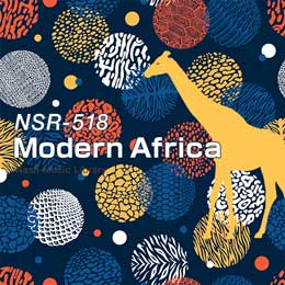 NSR-518 Modern Africa