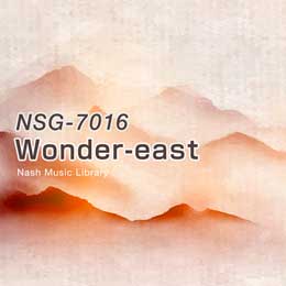 NSG-7016 Wonder-east