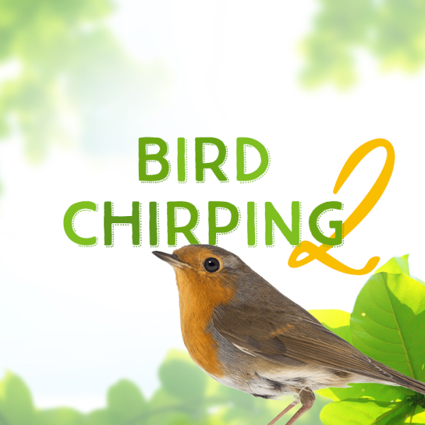 Bird Chirping 2