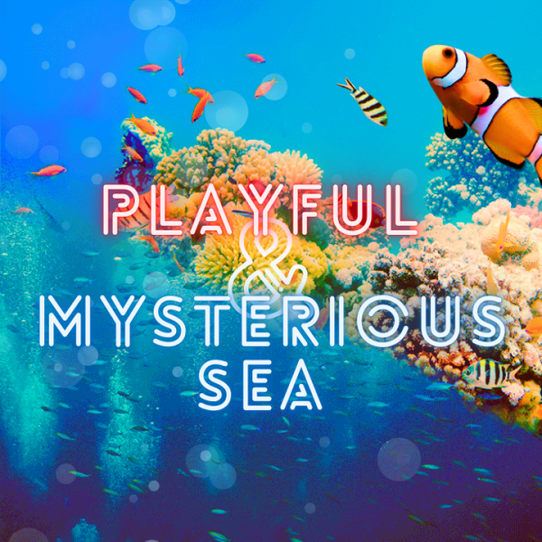 Playful ＆ Mysterious Sea